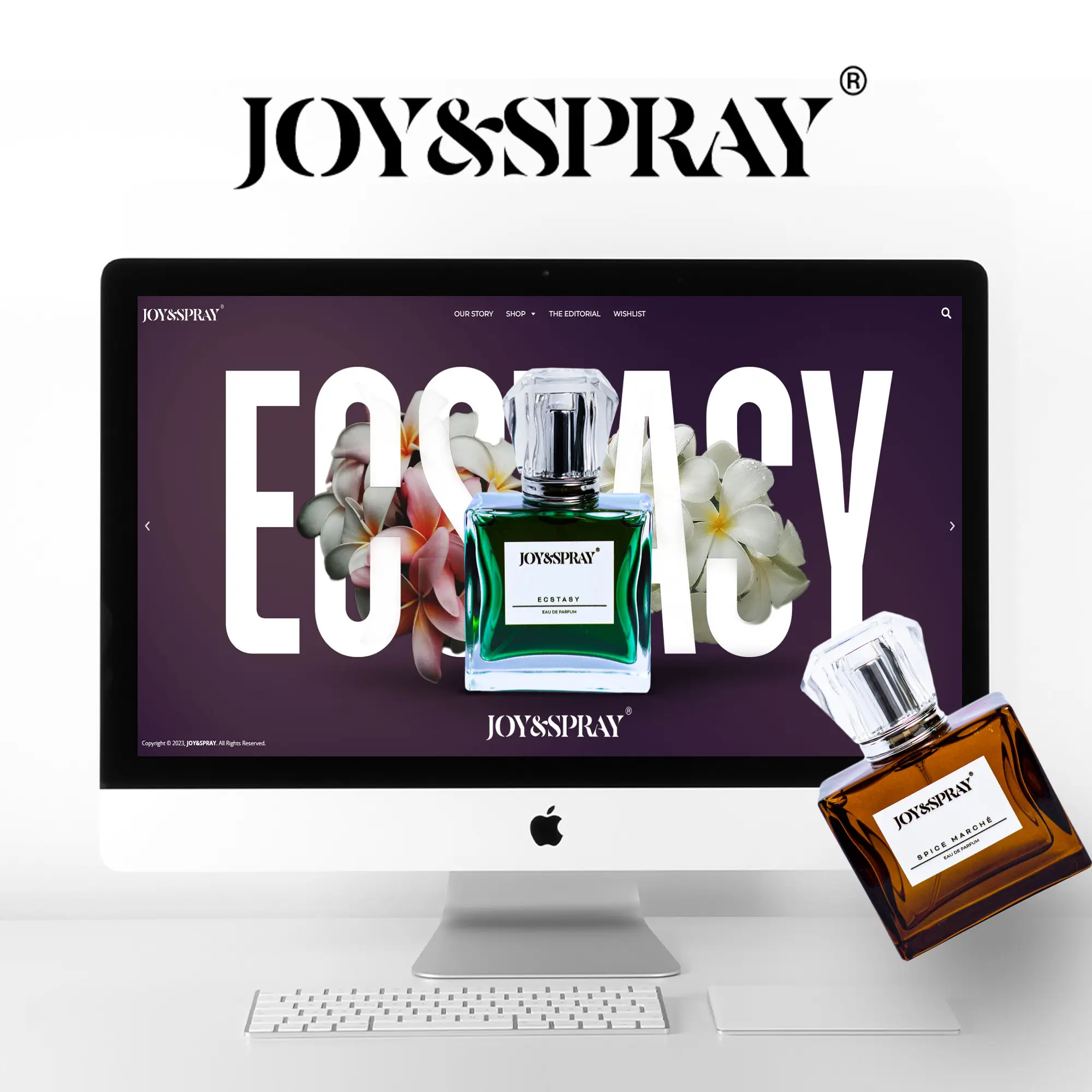 Portfolio Elementor Widget by Salman Razak