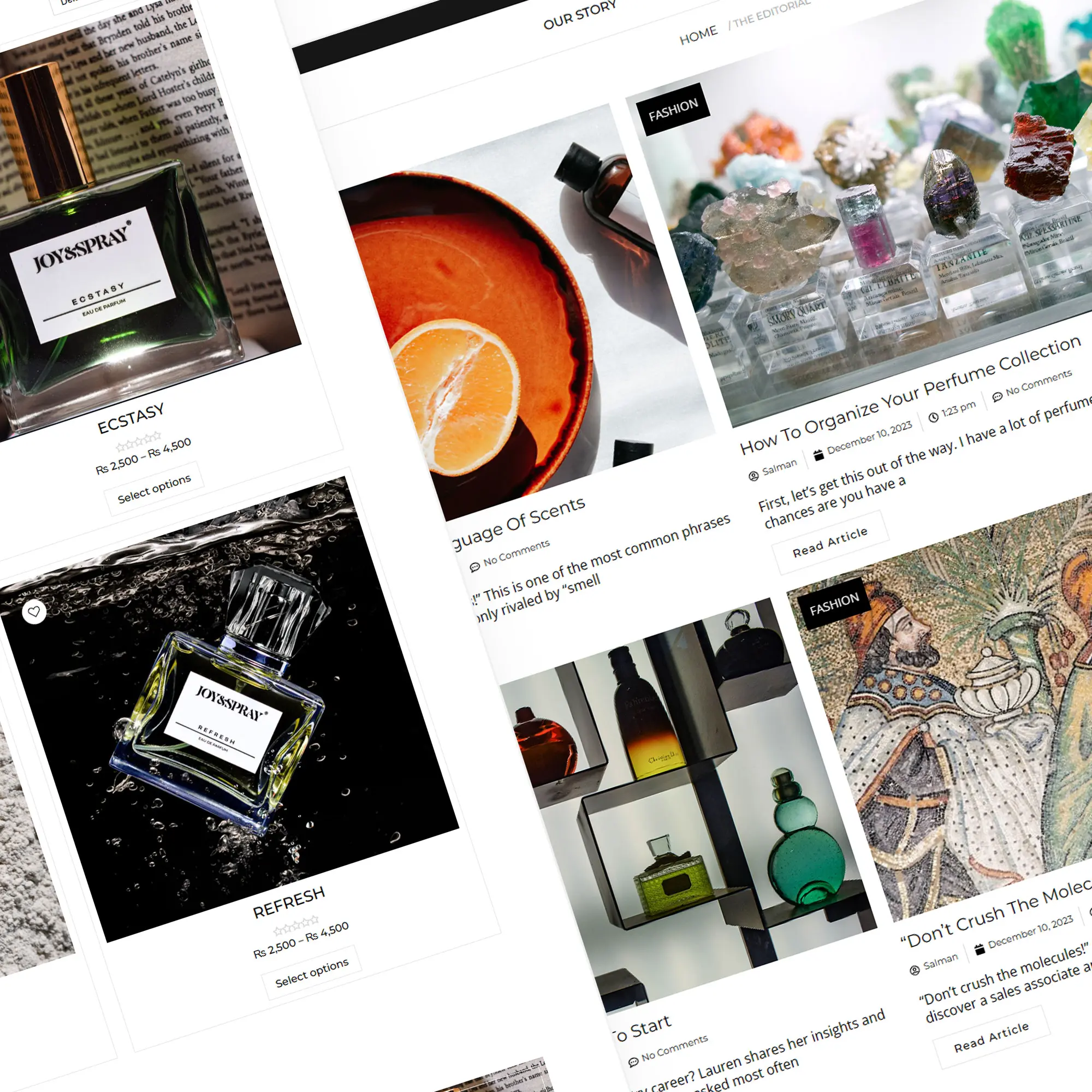 Portfolio Elementor Widget by Salman Razak