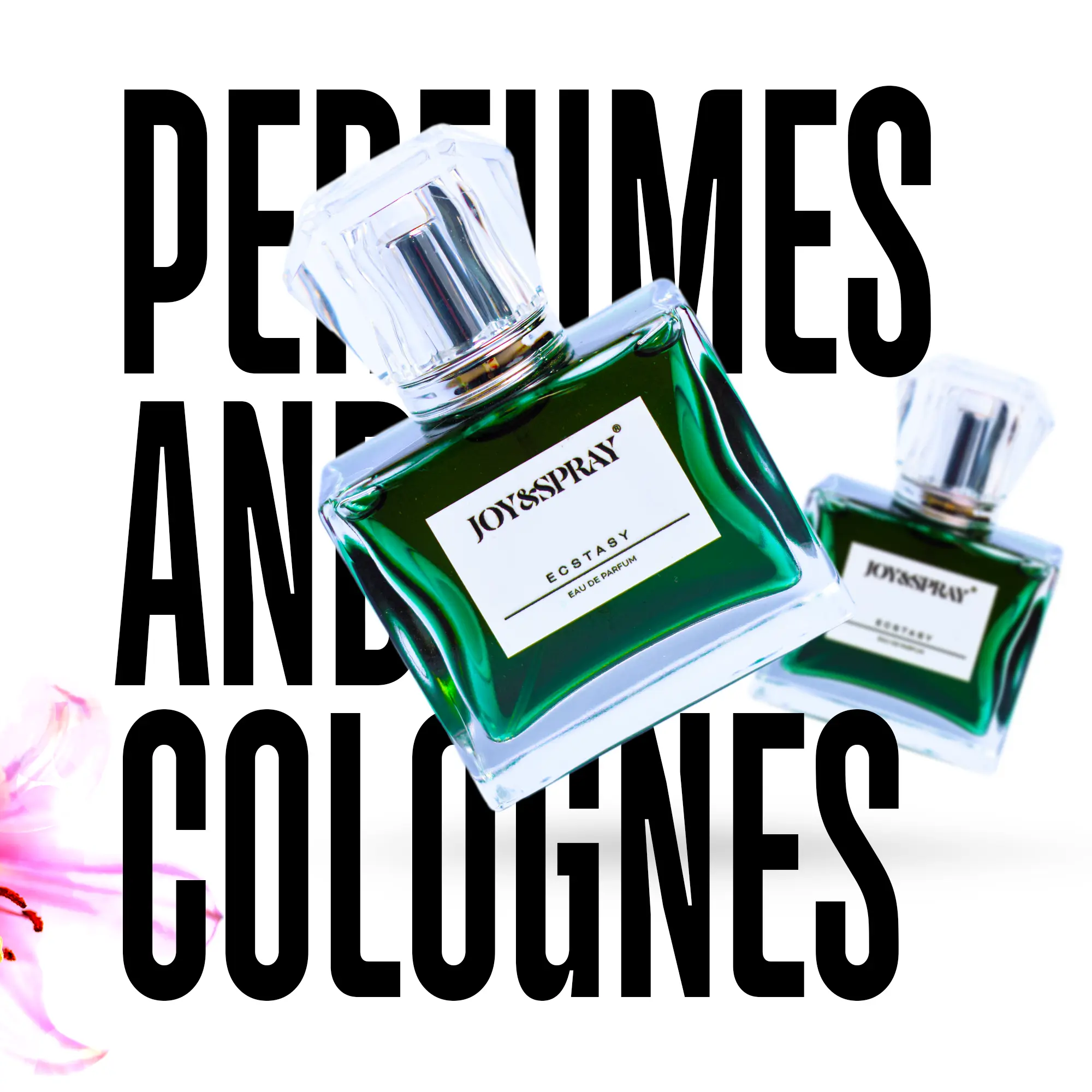 Portfolio Elementor Widget by Salman Razak