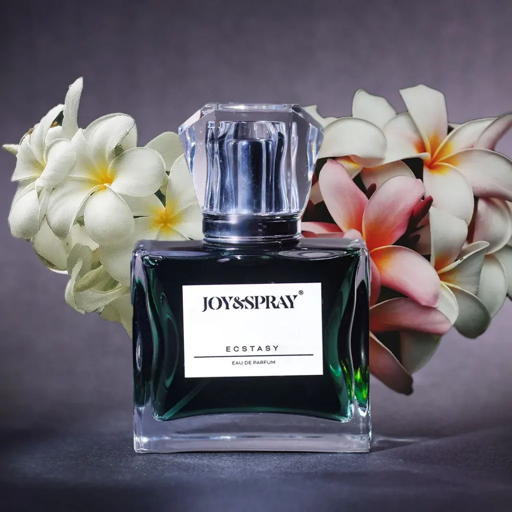 project-joy-and-spray-image2 - portfolio design by Salman Razak