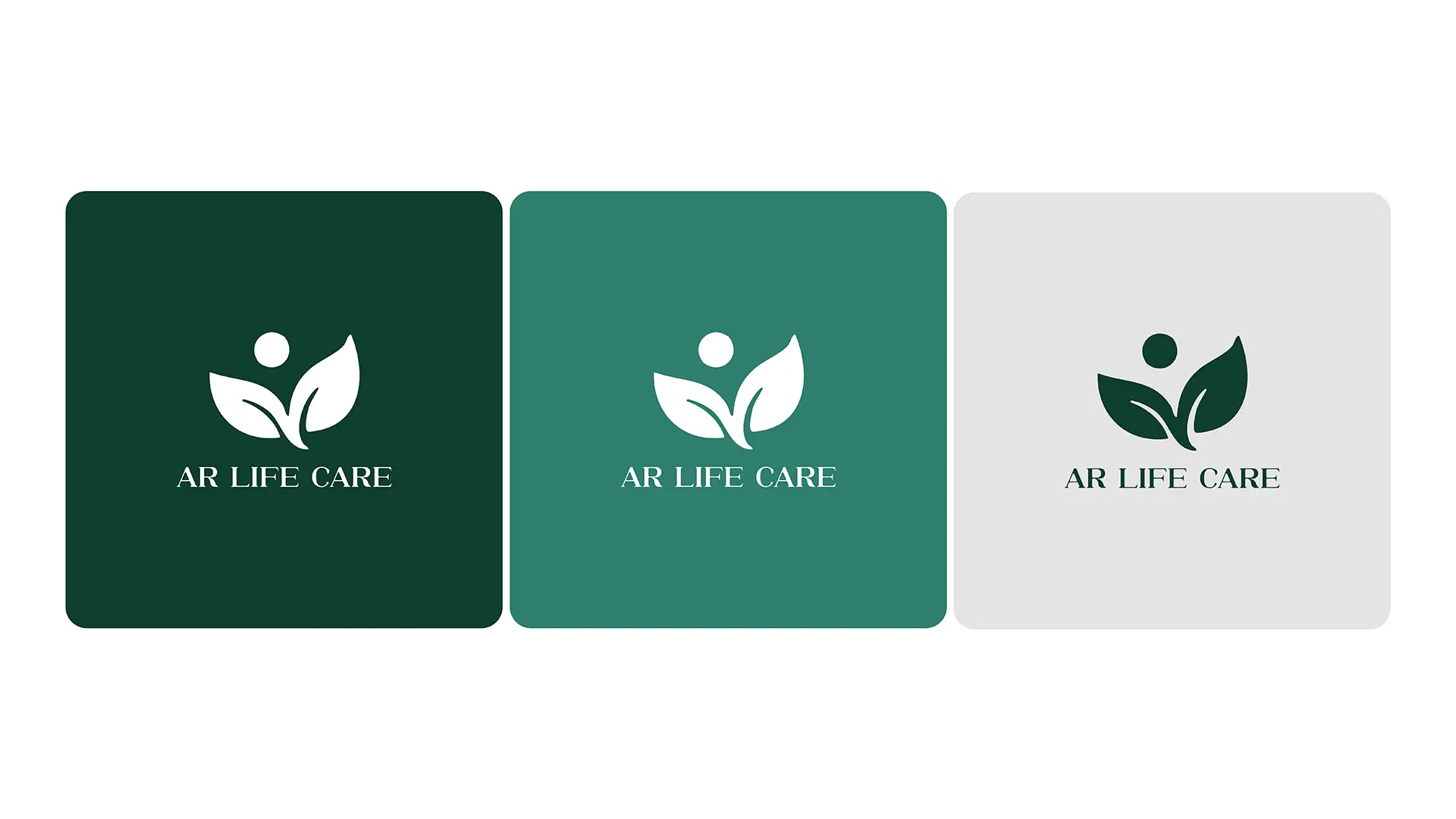 02 - portfolio design by Salman Razak
